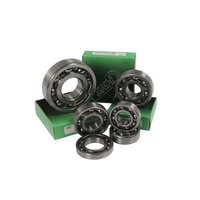 SNH Lagersatz für MZ ETZ250 ETZ251 ETZ301 8-tlg. Set...