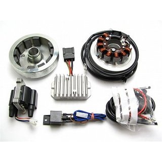 Lichtmaschine kontaktlose Vape Zündung für DKW NZ 500 mit 12V 100W