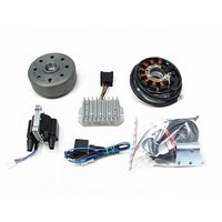 Lichtmaschine kontaktlose Vape Zündung für DKW...