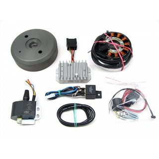 Lichtmaschine kontaktlose Vape Zündung für DKW KS200 KM200 12V 180W