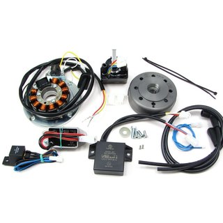 Lichtmaschine Vape Zündung 12V 150W DC für Yamaha RD350 RD400 TZ250