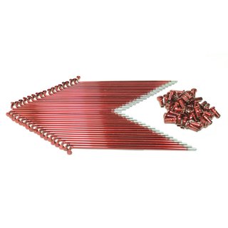 36 Speichen rot mit Nippel Scheibenbremse für Simson S51 S50 S53 S70 je 18x 171 + 177mm