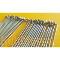 Speichen 19" Scheibenbremse verchromt Simson MS50 Sperber S53 S83 auch S51 S50 S70 KR51 Schwalbe SR4 Habicht Duo