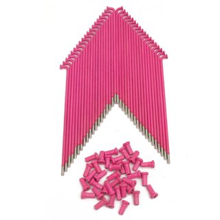 36 Speichen mit Nippel pink, rosa für Simson S51 S50 S53 S70 KR51 Schwalbe Spatz Star Habicht Sperber Duo
