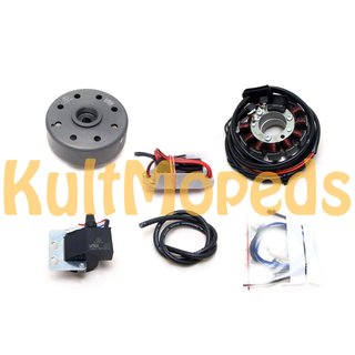 Lichtmaschine kontaktlose Vape Zündung 12V 100W DC für Suzuki RV90