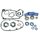 Lager SKF Dichtungen Wellendichtringe Motor M53KF Getriebe KR51 Schwalbe Habicht Sperber Duo Spatz K S50 
