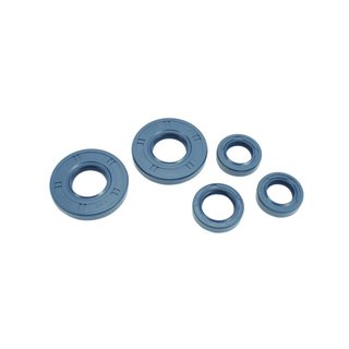 LYO Wellendichtringe Simmerringe Dichtung Simson S50 KR51/1 Star SR4-2 Sperber Habicht Duo 4/1 Gebläsemotor Motor Getriebe