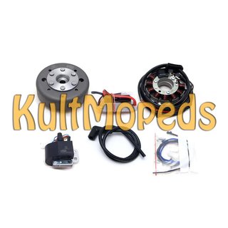 Lichtmaschine kontaktlose Vape Zündung für Suzuki PE 175/250 12V 100W DC