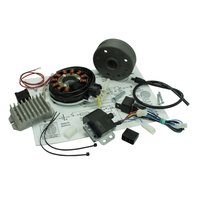 6V 100W Lichtmaschine Elektonik Zündung LiMa...