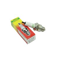 Isolator 175 Zündkerze für Barkas B1000...