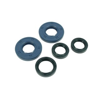 5 Wellendichtringe Simmerringe MZ TS150 TS125 Motor Getriebe alle Modelle