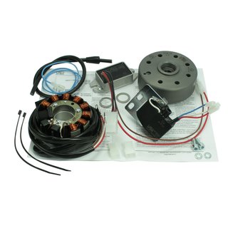 Lichtmaschine kontaktlose Vape Zündung für Suzuki RV125 TS125 12V 100W DC
