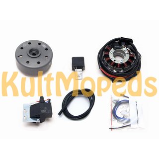 Lichtmaschine, kontaktlose Vape Zündung für Suzuki RMX 250 12V 70W AC