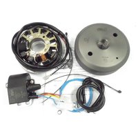 Zündung Elektronik Lichtmaschine 6V 18W Fichtel & Sachs SM 98 und 74 ccm Motor zB für Bismark, Göricke, Miele, Wanderer