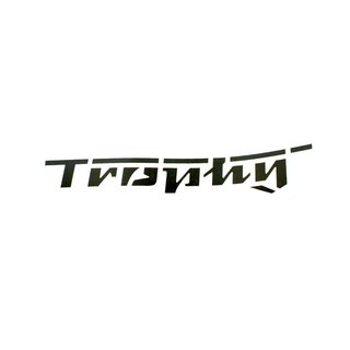 Wasserabziehbild für MZ ES 150 175 250 300 Trophy schwarz wie ab Werk, kein Aufkleber Maß 14,0 x 2,4