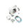 Kurbelwelle + RS904 SP Tuning Zylinder 4 Kanal mit Barikit 1-Ring Kolben Doppelauslass ink. Kopf Simson S51 KR51/2 Schwalbe SR50 S53 Kit Motor 90 ccm
