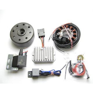 Lichtmaschine, kontaktlose Vape Zündung IWL Roller SR56 SR59 Berlin Pitty, Wiesel, Troll 12Volt 100W