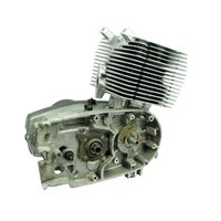 Generalüberholung Motor für MZ ETZ 150 125...