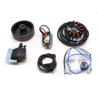 Lichtmaschine Vape Zündung (ohne Zündverstellung) 12V 100W DC für Yamaha TY50 TY80 DT50 2M5