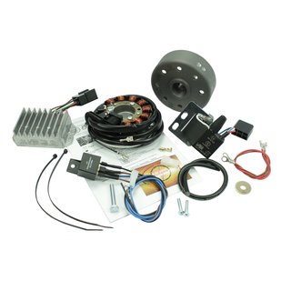 Vape 12V 100W Lichtmaschine Elektronik Zündung für MZ TS ES ETS 125 150 wartungsfrei 