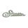 Simson Emblem LOGO für Knieblech KR50 Vorgänger Schwalbe KR51 Schriftzug silber ALU massiv NEU
